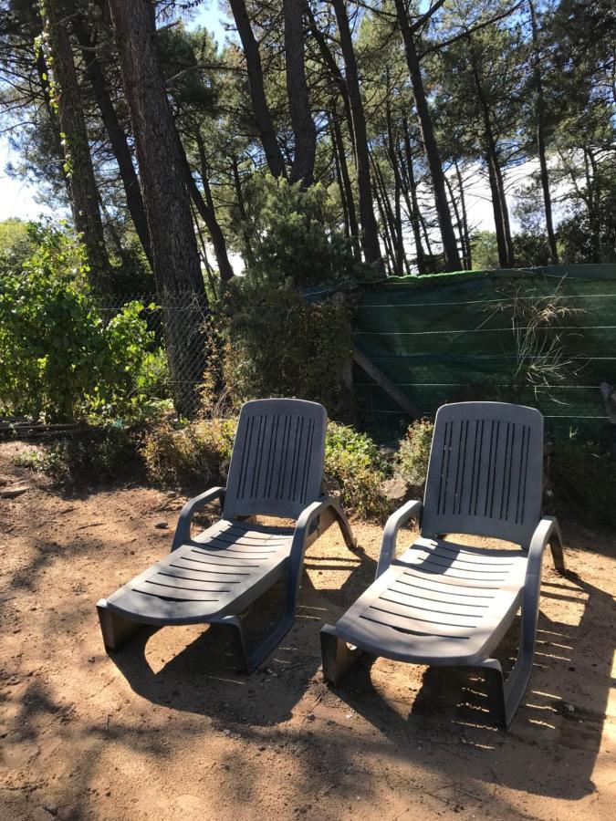 הוילה מורנאס La Pinede מראה חיצוני תמונה